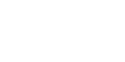 MONDRAKER FACTORY RACING DH