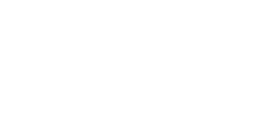 TREK FACTORY RACING DH